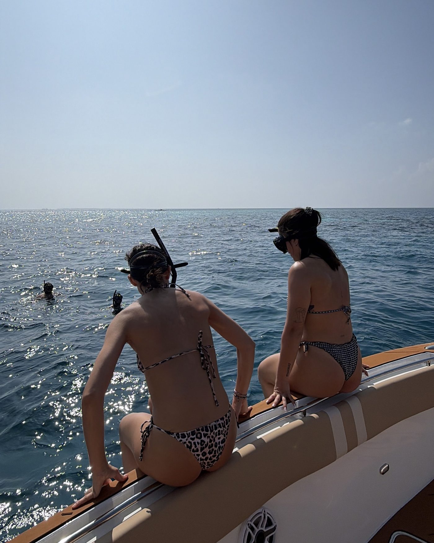 Sunset dolphin cruise